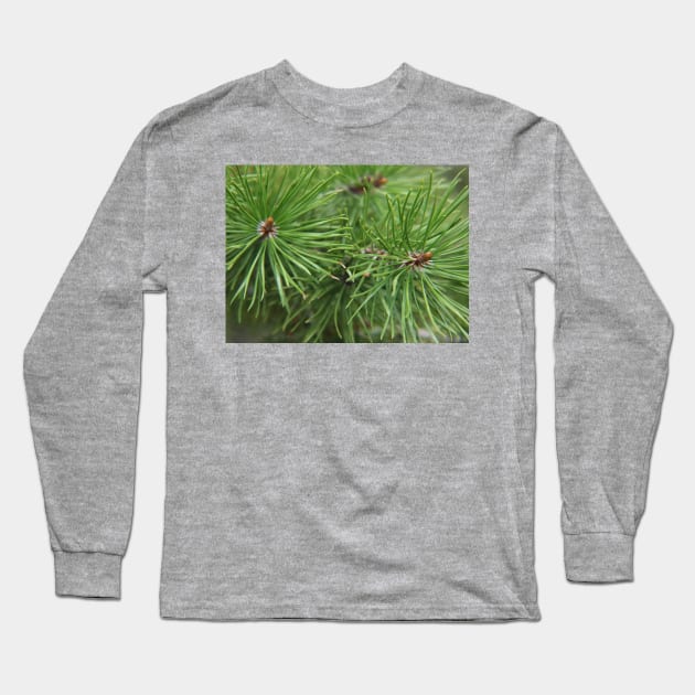 Pine needles Long Sleeve T-Shirt by ReanimatedStore